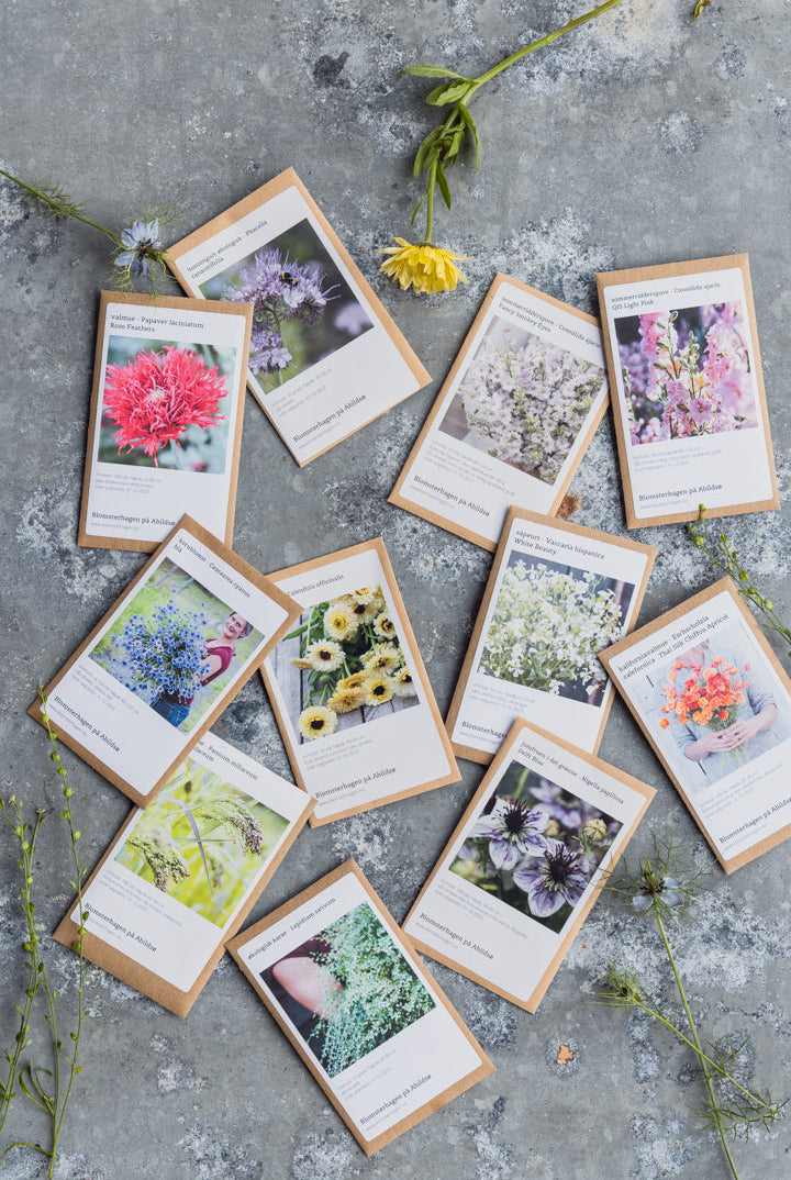 Planlegging av såtider for blomster og snittblomster i hagen