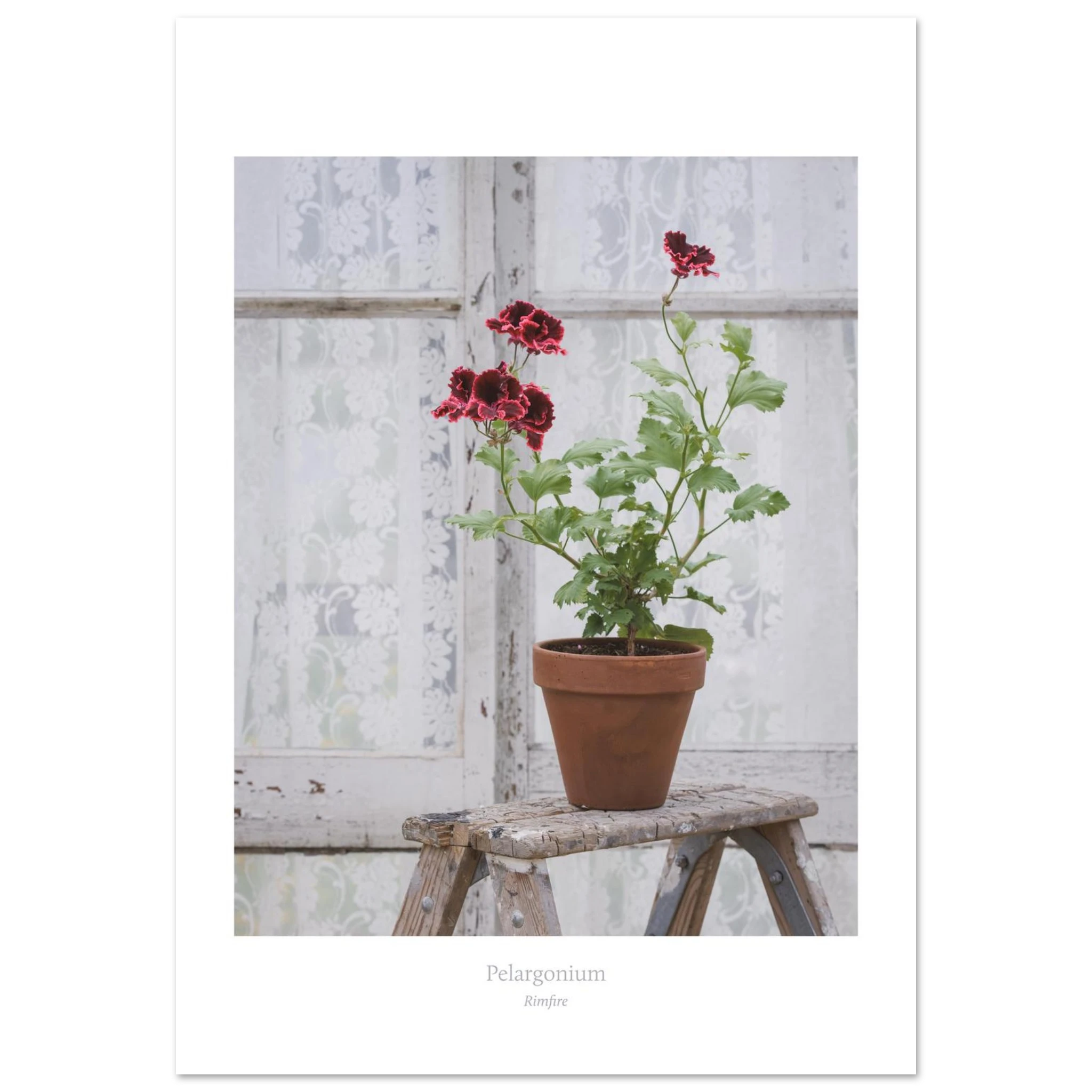 17c1a4a5-78fc-4d53-923b-a5e61ff736f5