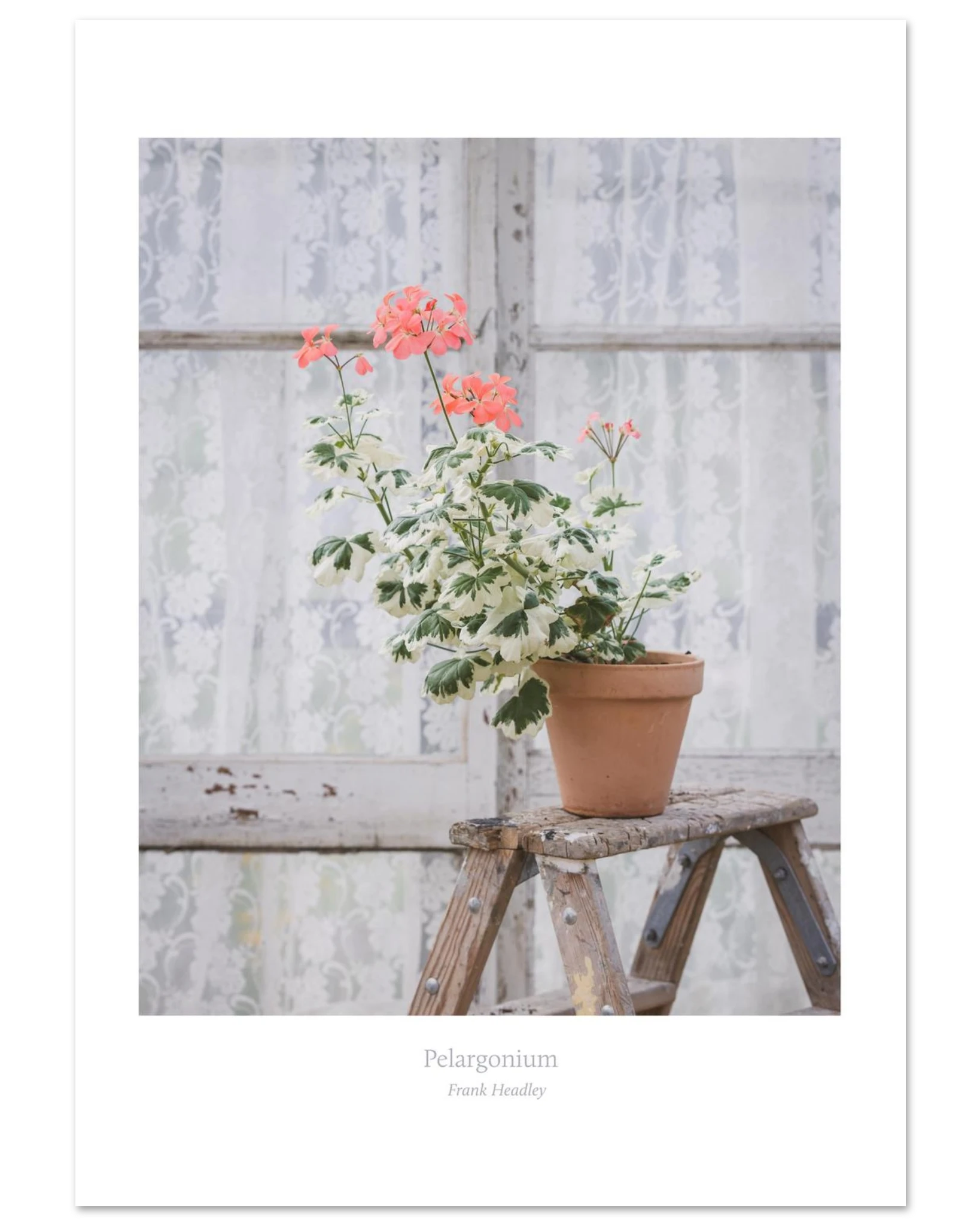 1d717e6c-0755-48d4-8755-7683c058aaf0