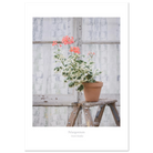 1d717e6c-0755-48d4-8755-7683c058aaf0