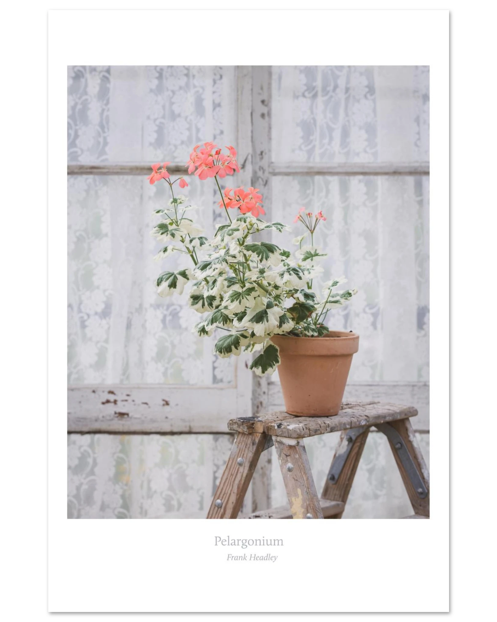 25dcfa58-7d9b-4da9-9b13-f0633231e1b1