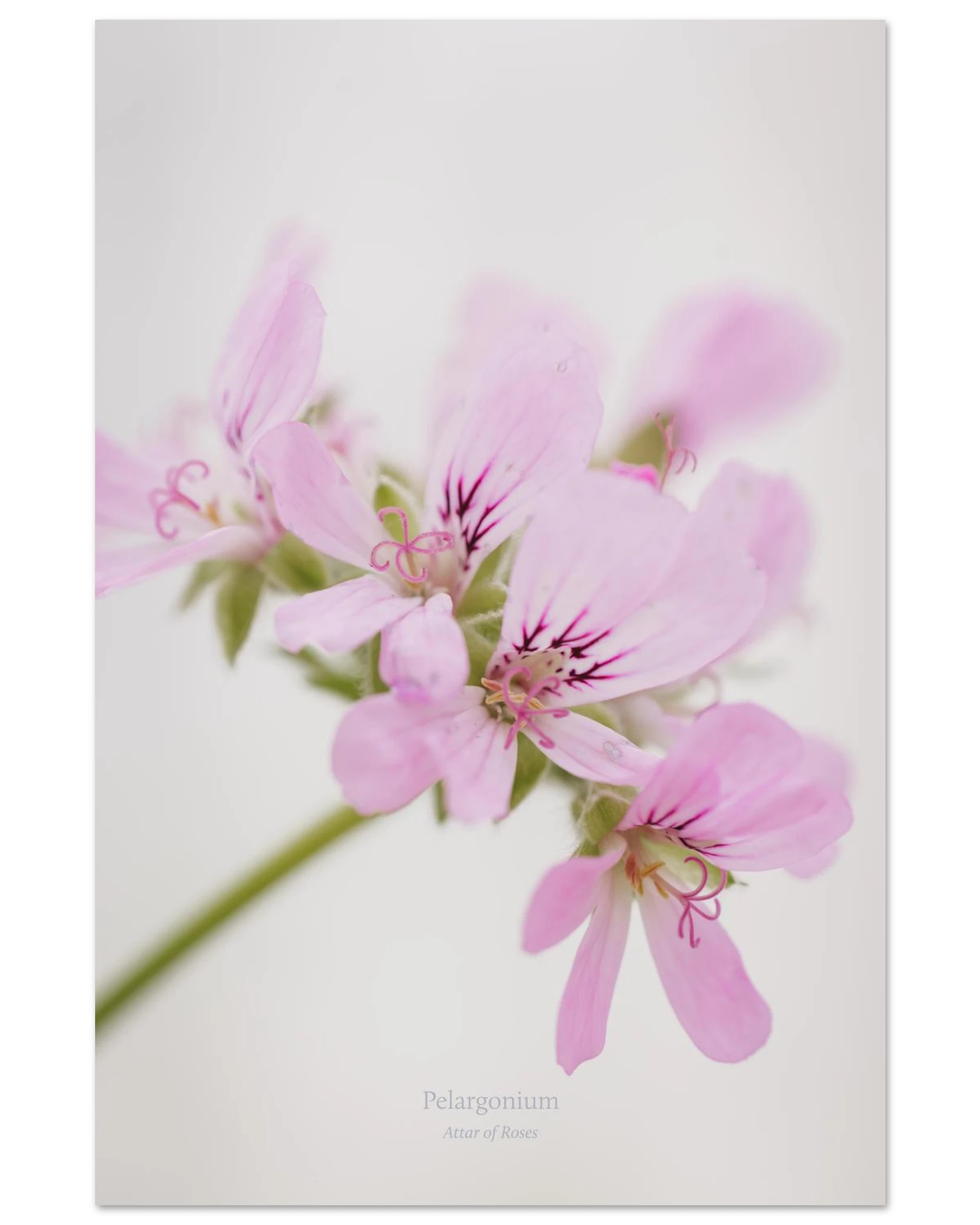 3177cab0-aac0-44ff-8172-d370268647f4