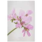 3177cab0-aac0-44ff-8172-d370268647f4