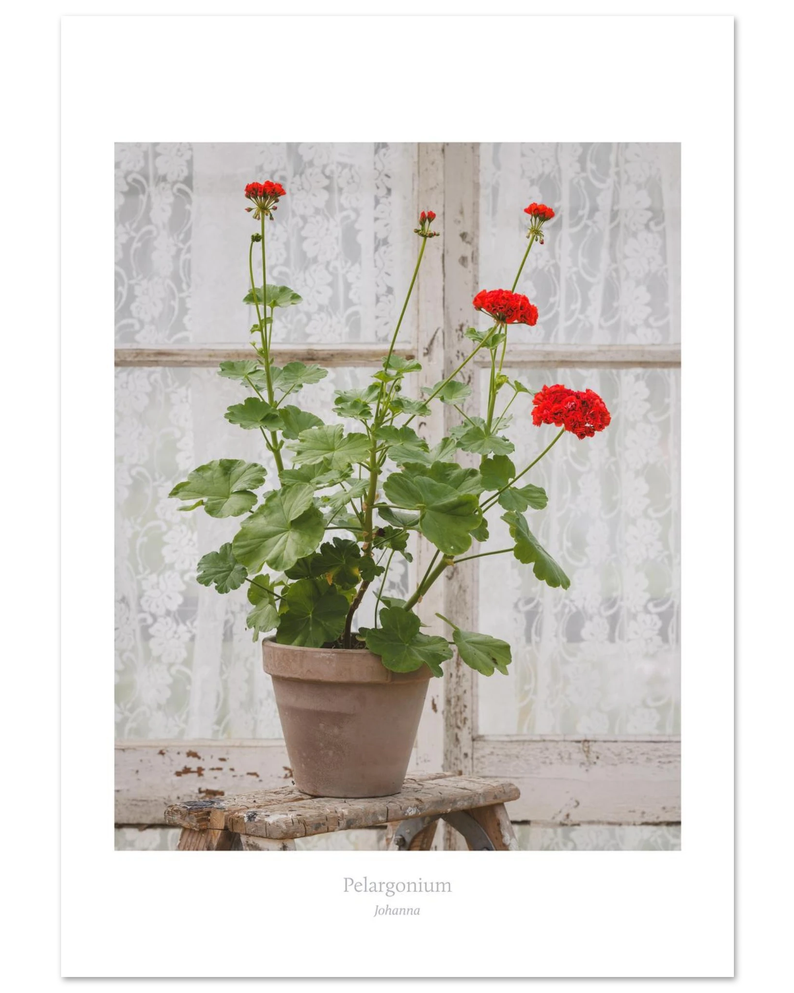 4800ebe4-0105-49c2-85d9-2869746d2350