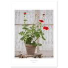 4800ebe4-0105-49c2-85d9-2869746d2350