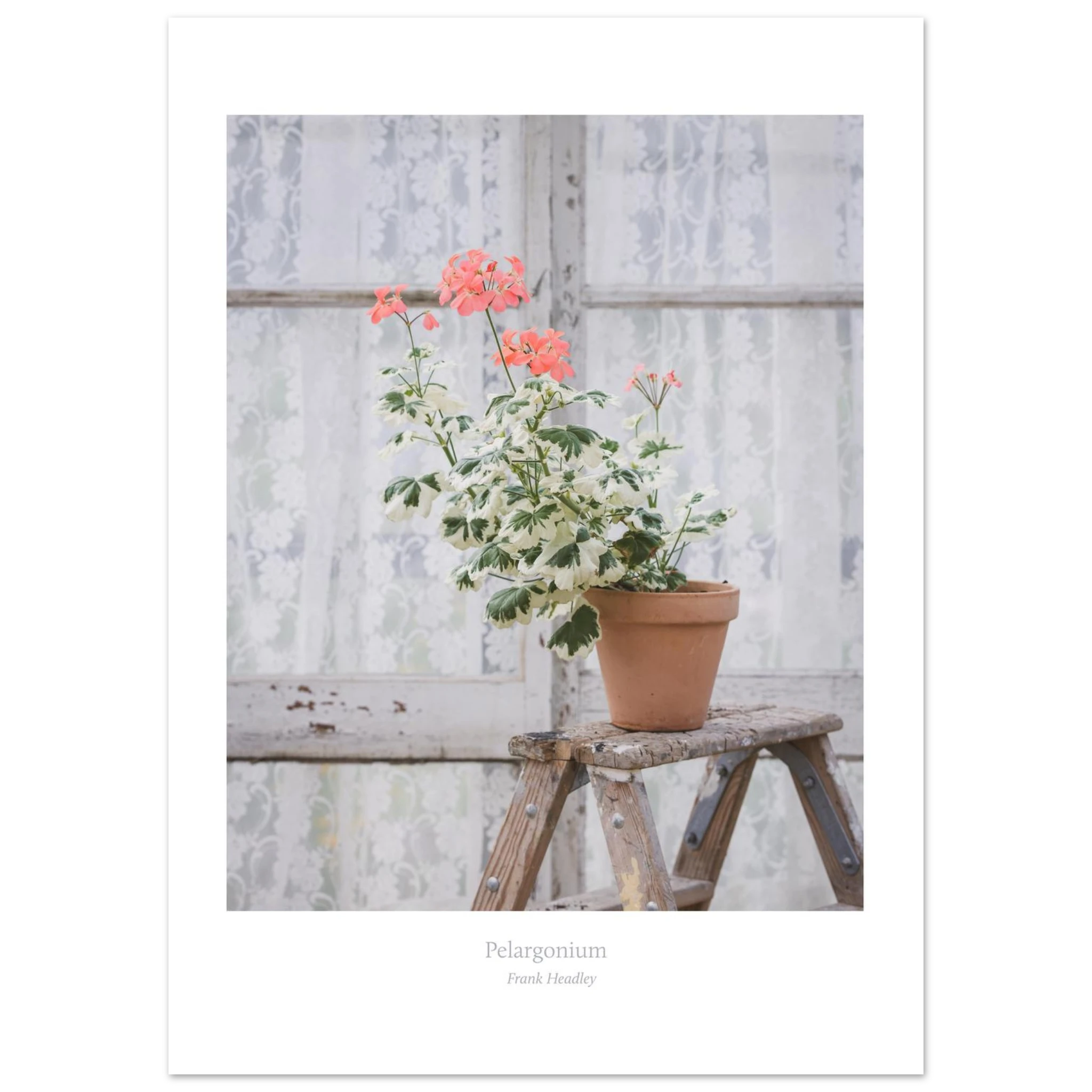 7a42bf7a-cb9f-476f-b6db-67cf00c0631f