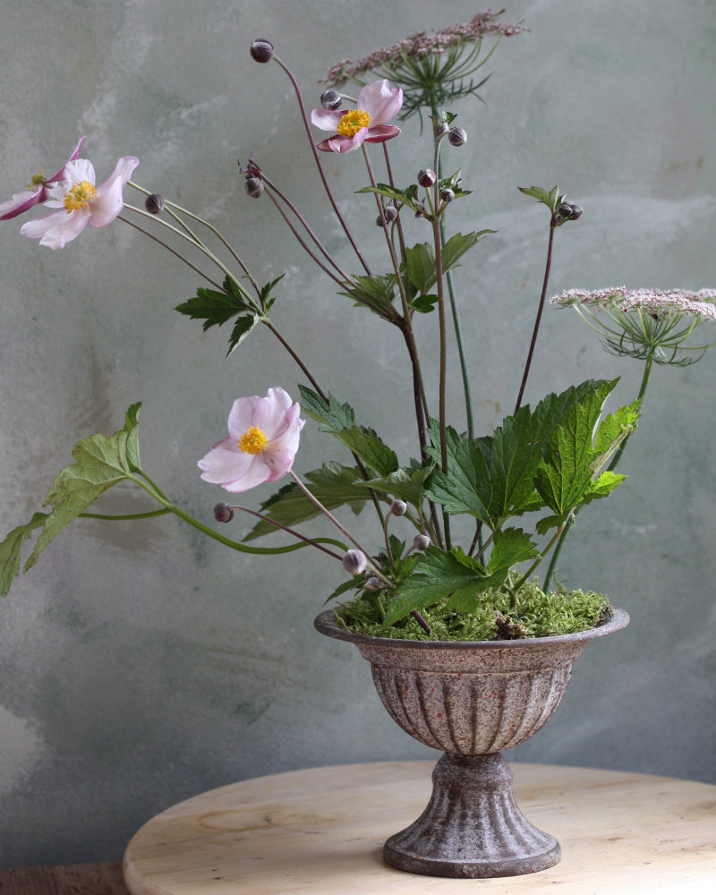 87117_Blomsterfakir_stor_1