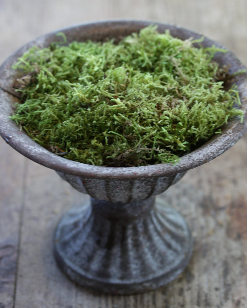 87117_Blomsterfakir_stor_2