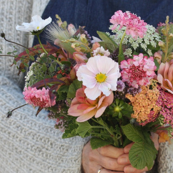 91494_Ett_rige_scabiosa_Salmon_Rose_4