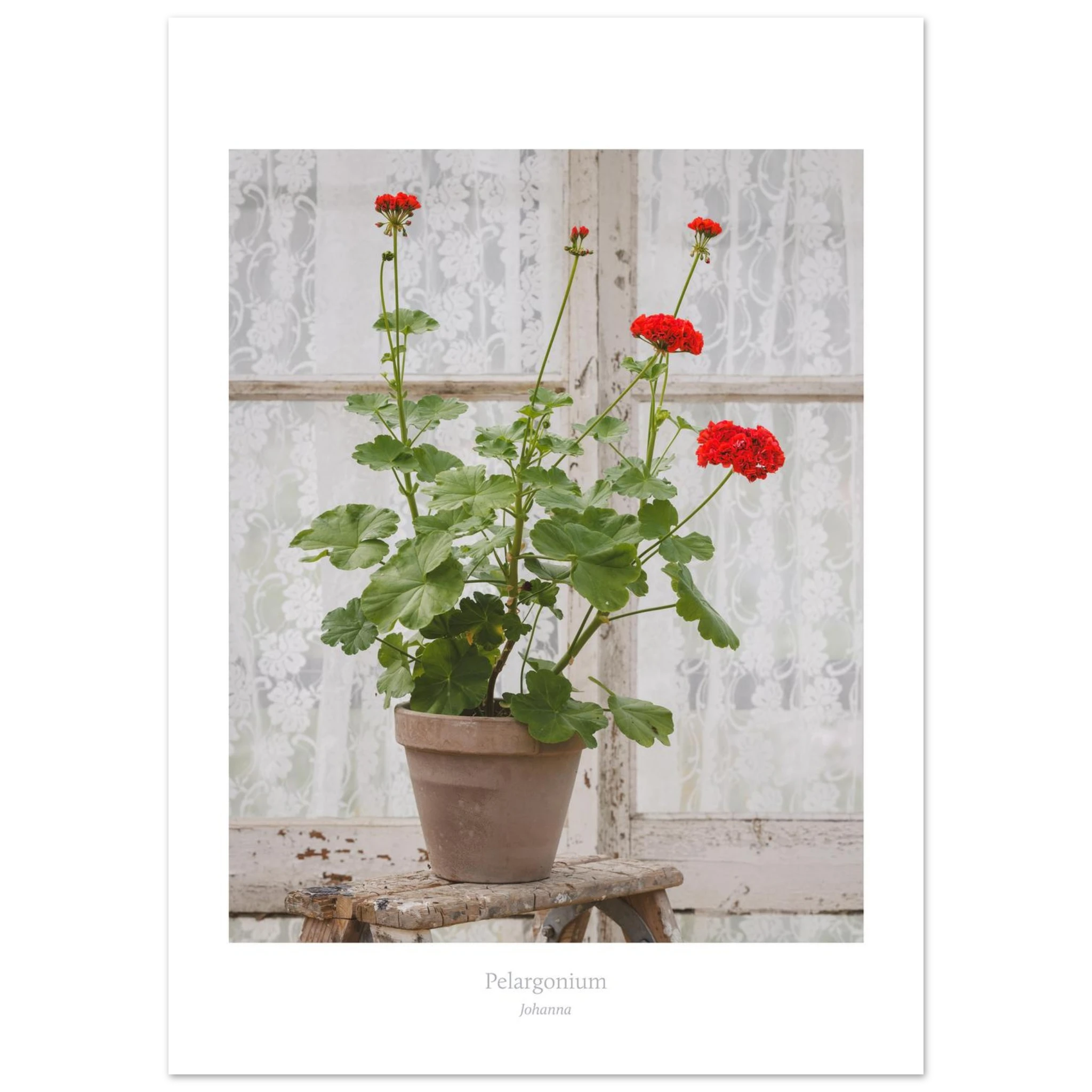 988b3fbc-8205-4a92-8ef6-92fecae4eb11