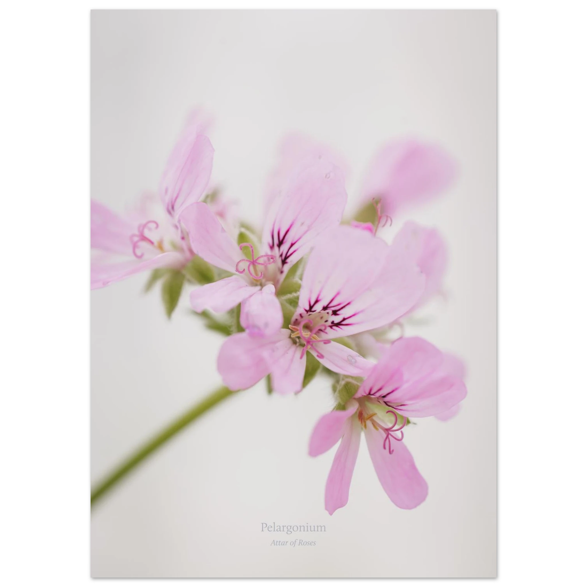 9d71af50-886e-4ced-84b9-ed8316639367