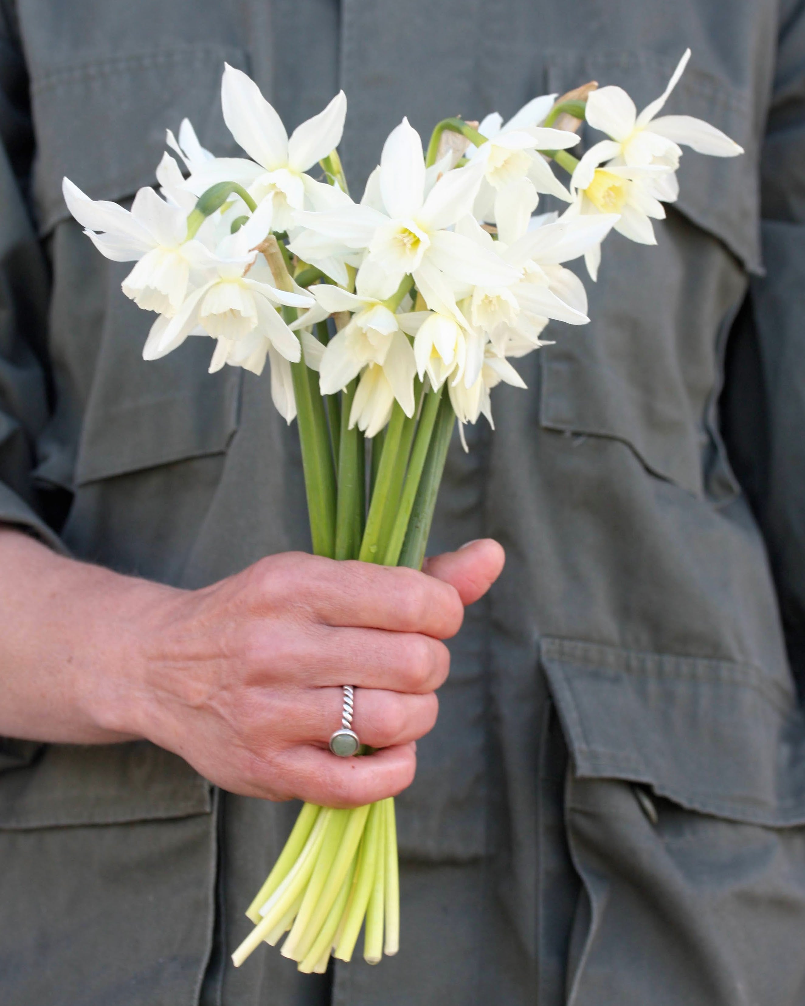 Narciss Thalia – renhvite nikkende blomster som minner om store snøklokker