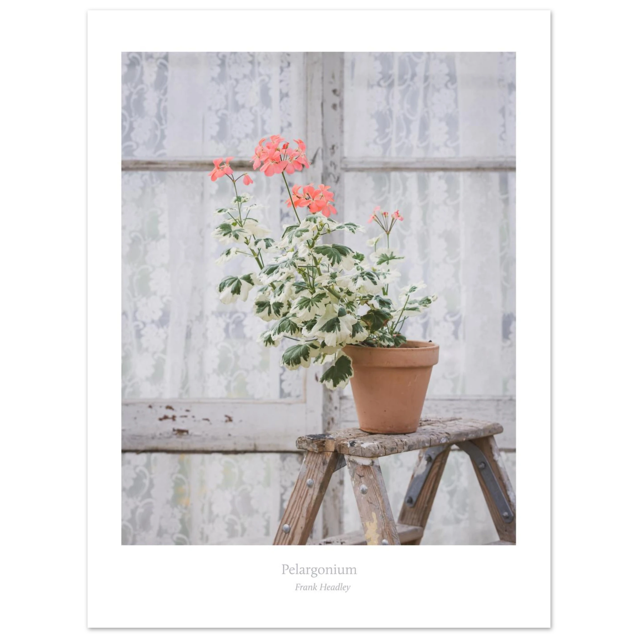 adab23a6-3622-4317-b943-24328731bb21