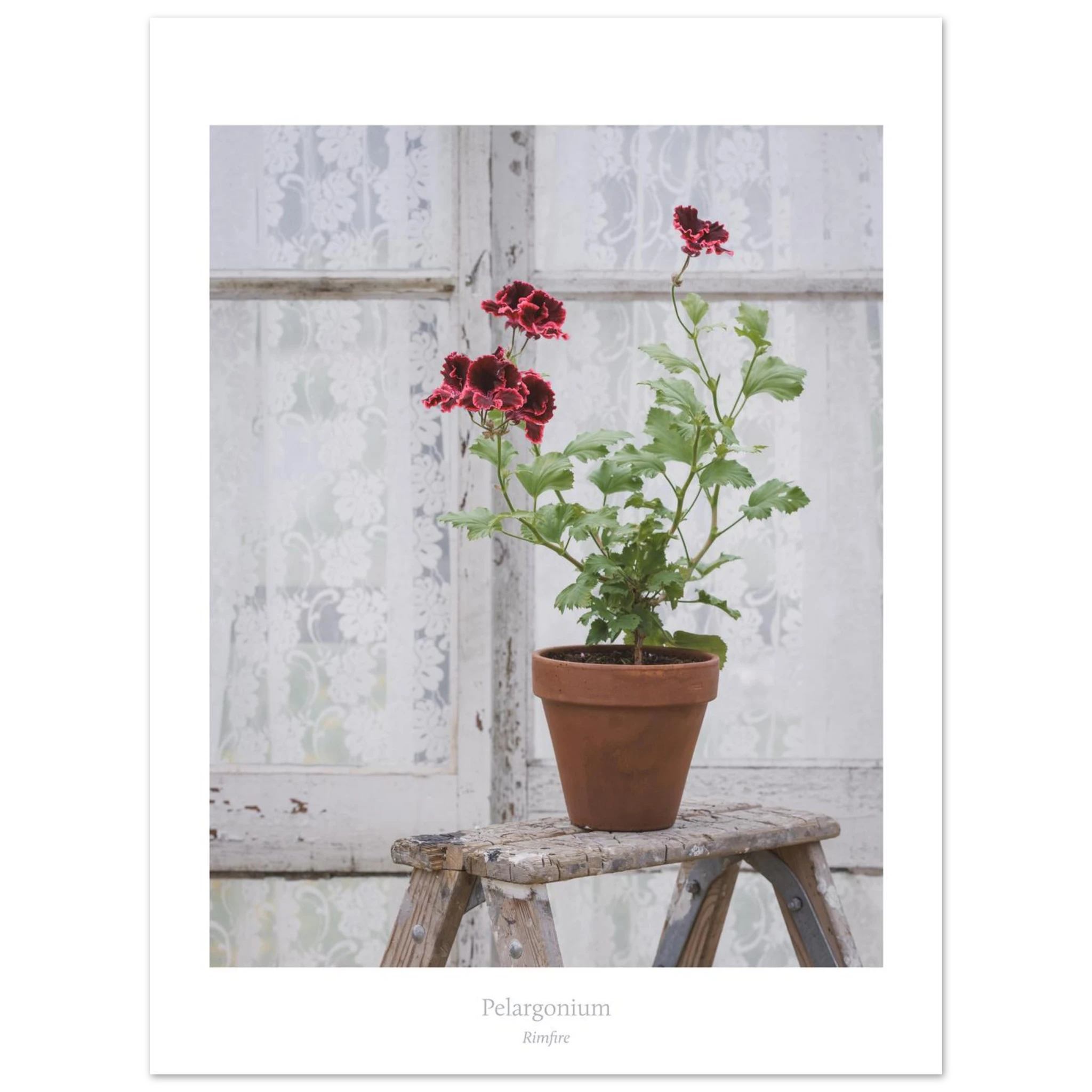 ae4193ce-7fcb-4925-8a69-d77d7f8b4151