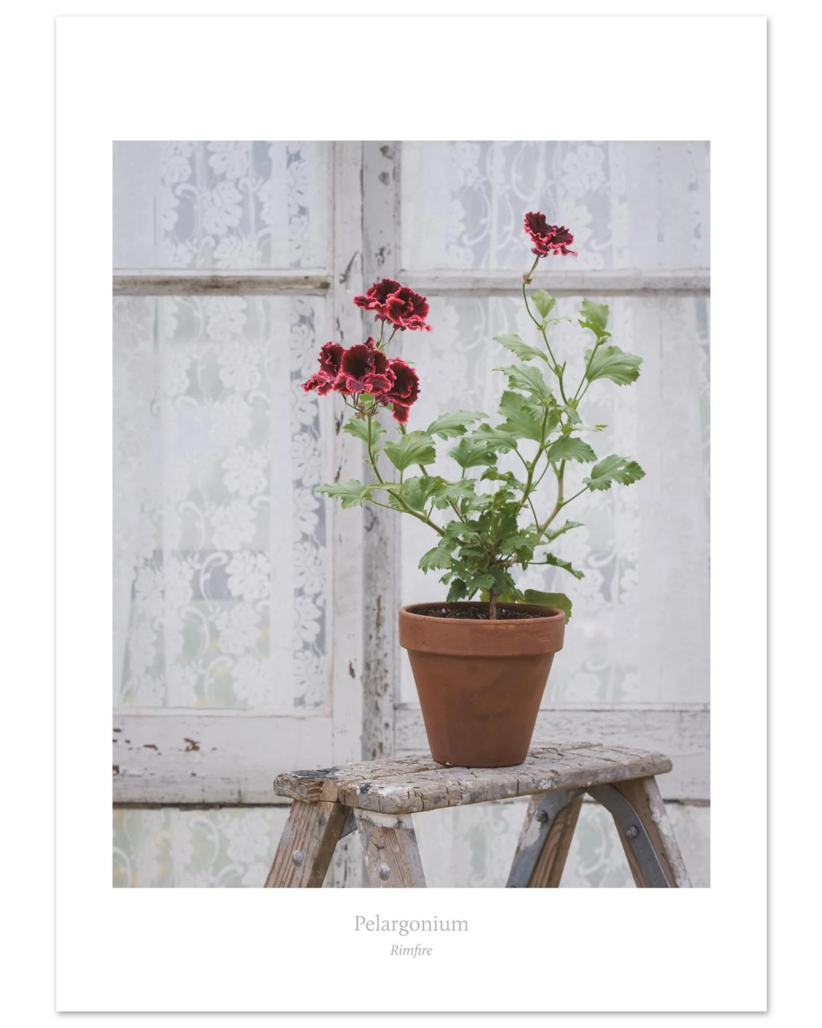 ba7f909d-04fb-4589-932f-a0056288c9a6