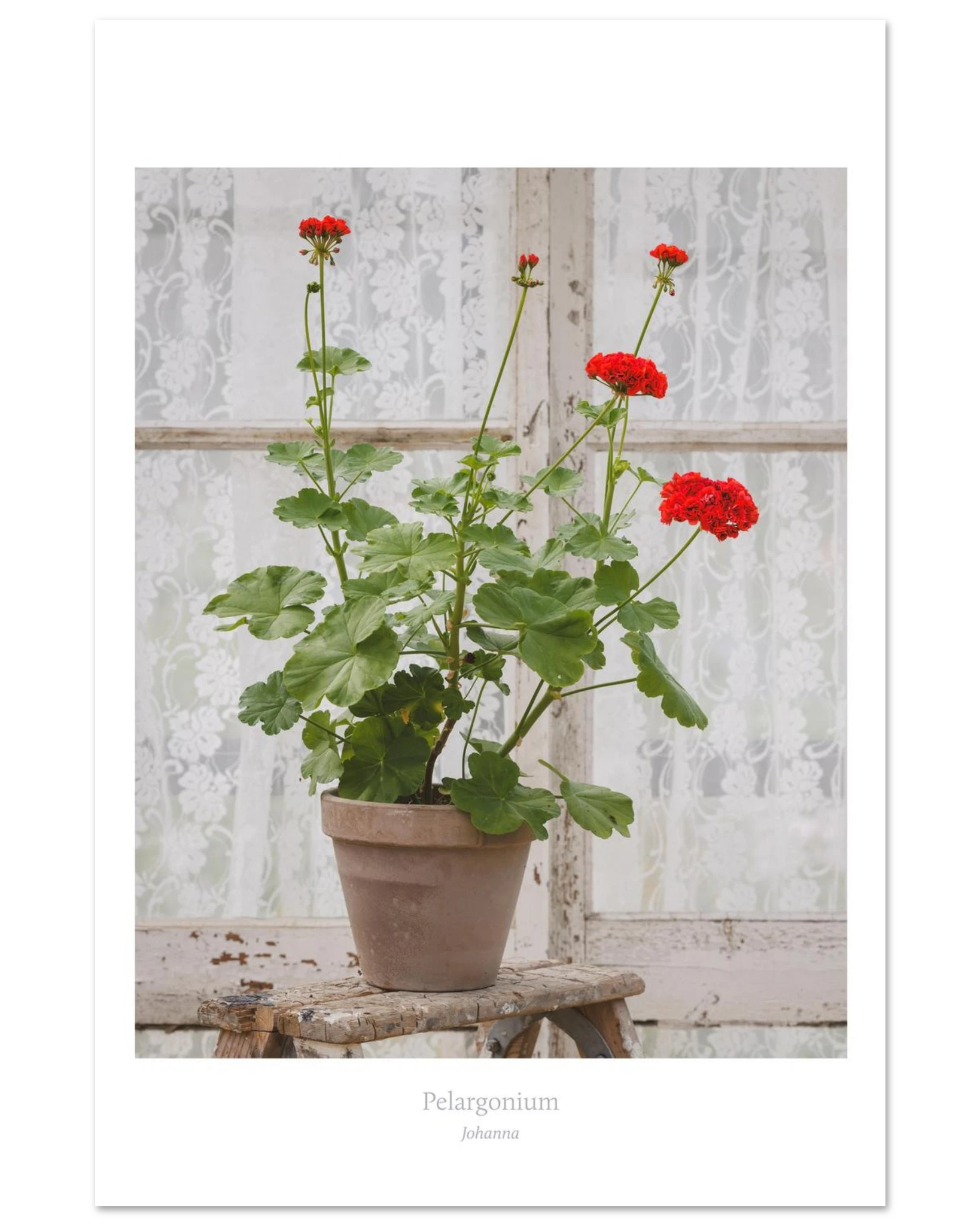 be09678d-dc2b-4e9a-aa0f-aaacb4dbdd87