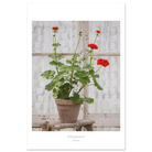 be09678d-dc2b-4e9a-aa0f-aaacb4dbdd87