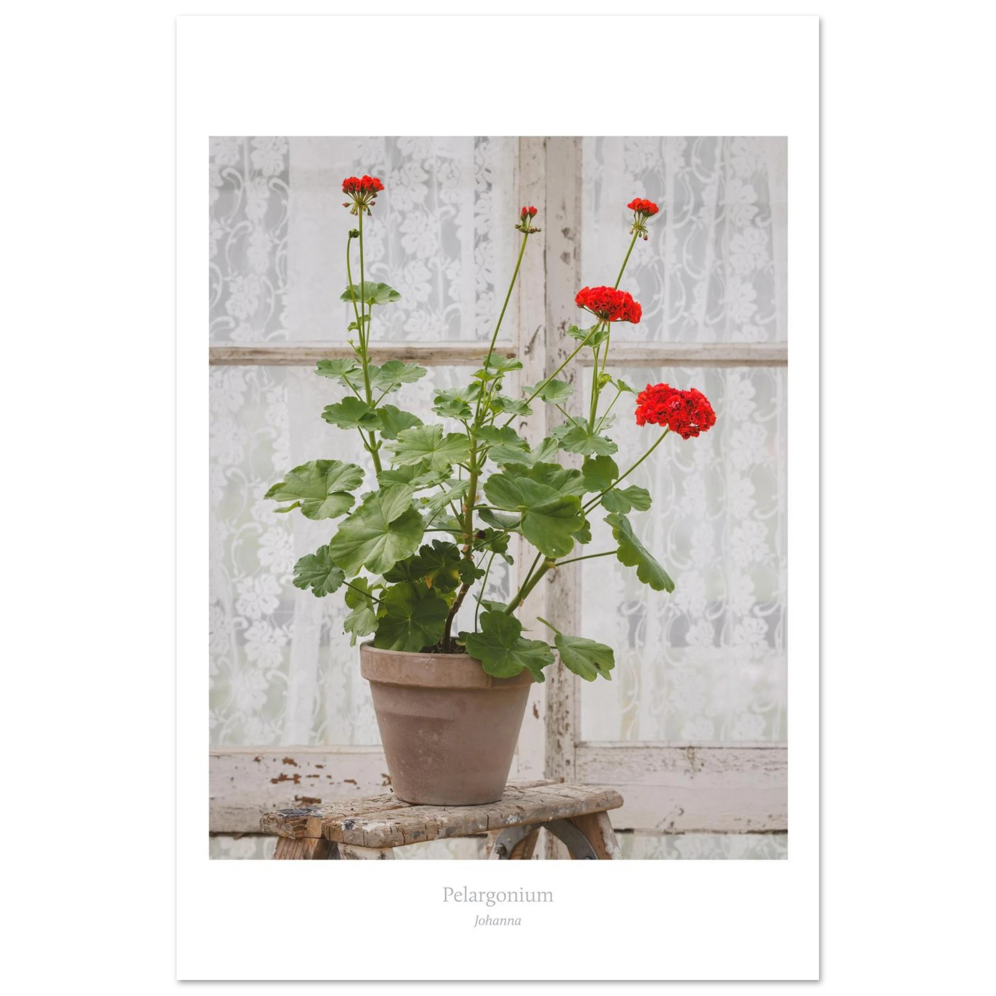 be09678d-dc2b-4e9a-aa0f-aaacb4dbdd87