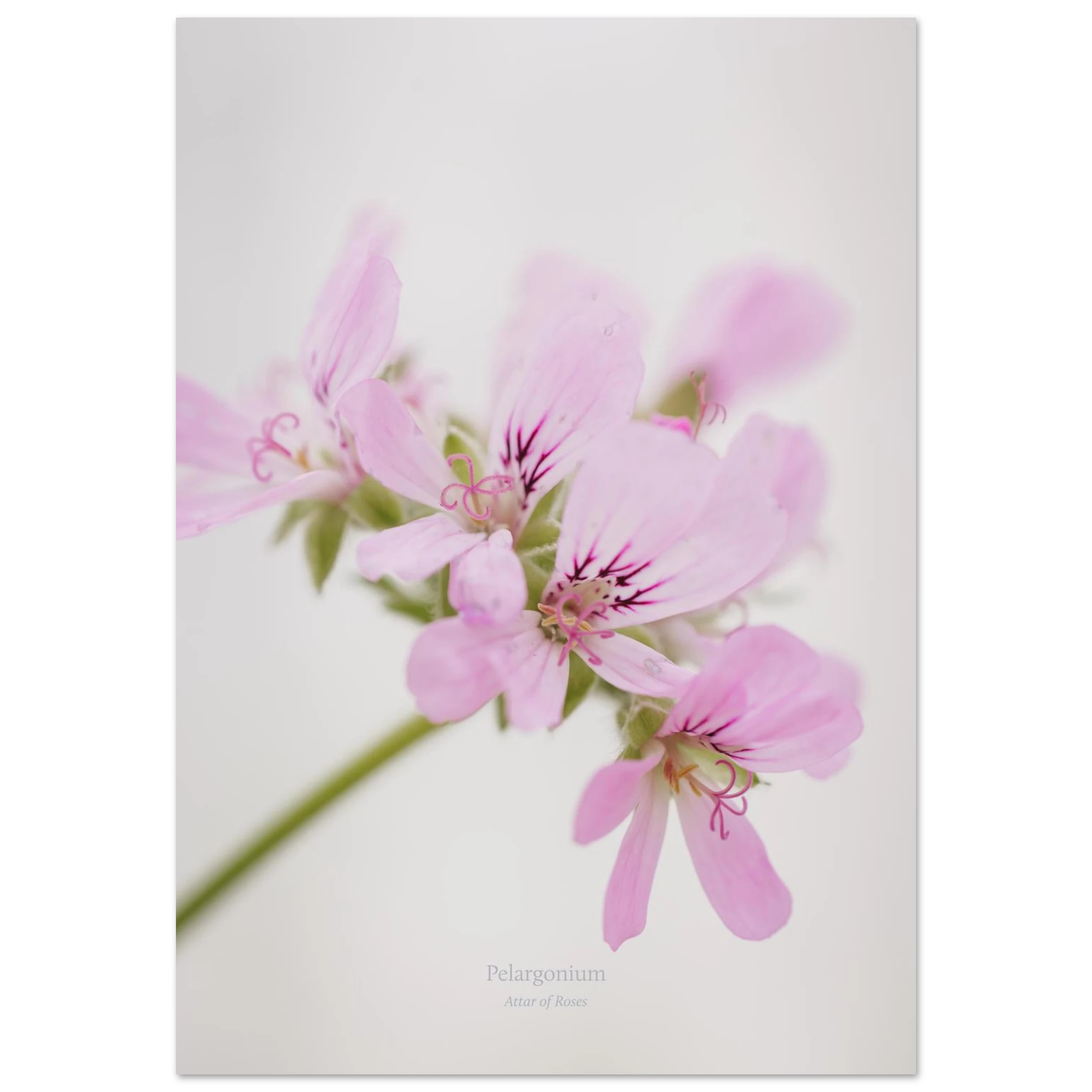 c95a821a-ab63-4836-8277-c48596ec5c5f