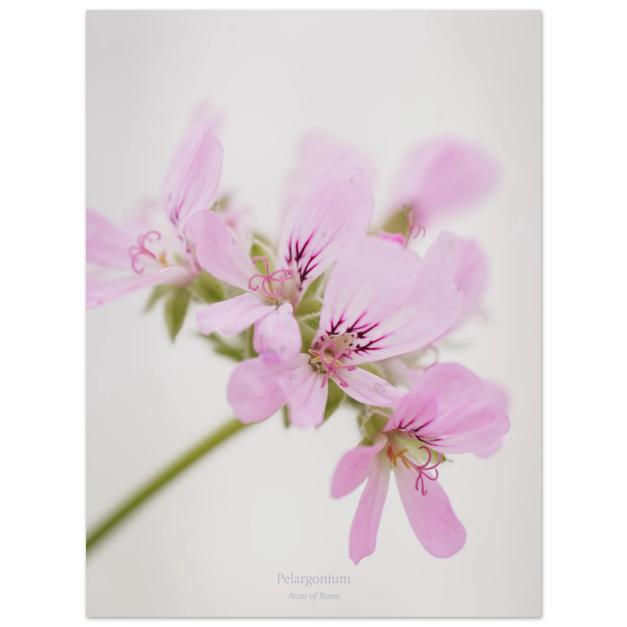 caad4535-45e5-4c1d-b067-6245c07bdd6f