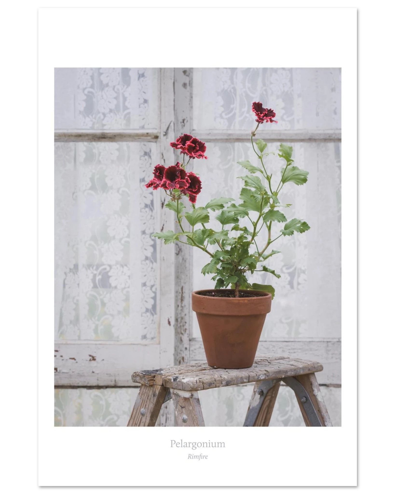 e816d35c-9efb-4d39-b14c-a7d6ae15dc28