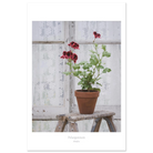 e816d35c-9efb-4d39-b14c-a7d6ae15dc28