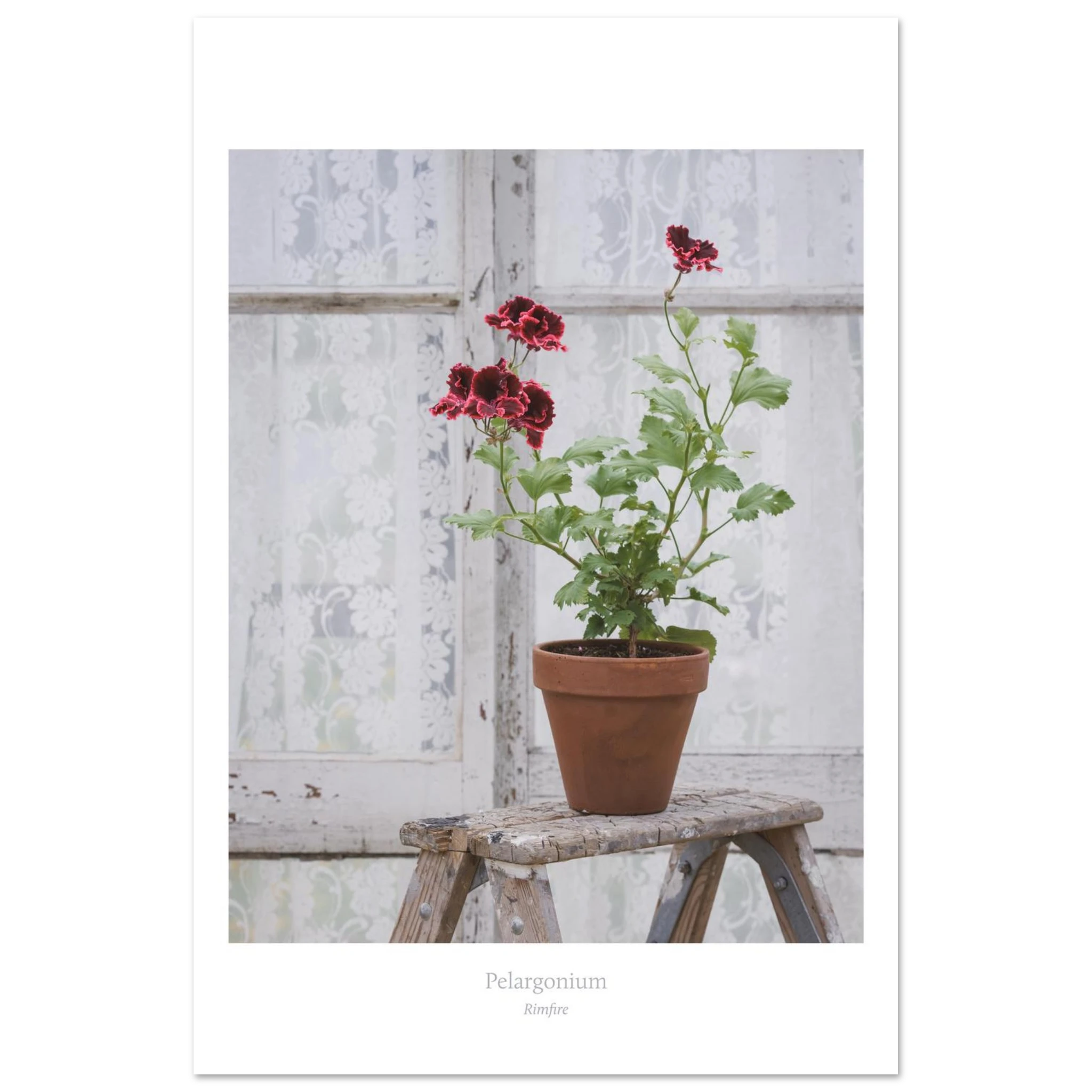 e816d35c-9efb-4d39-b14c-a7d6ae15dc28