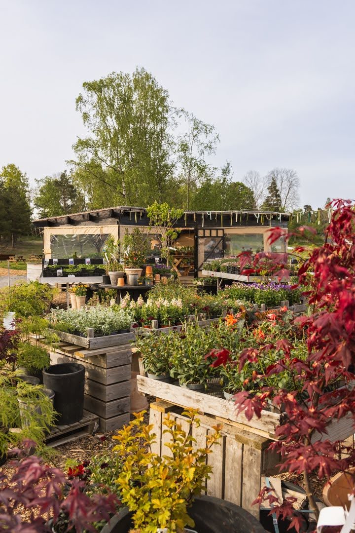 Vil du jobbe i Åkerbutikken?