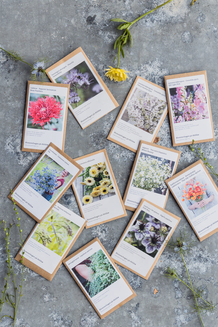 Planlegging av såtider for blomster og snittblomster i hagen
