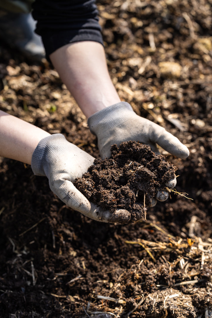 Gjødsling i hagen – slik gir du plantene næring på naturens premisser