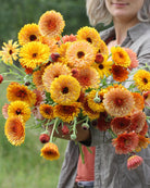 Ringblomst Flashback Mix – oransje og gule blomster i hagen
