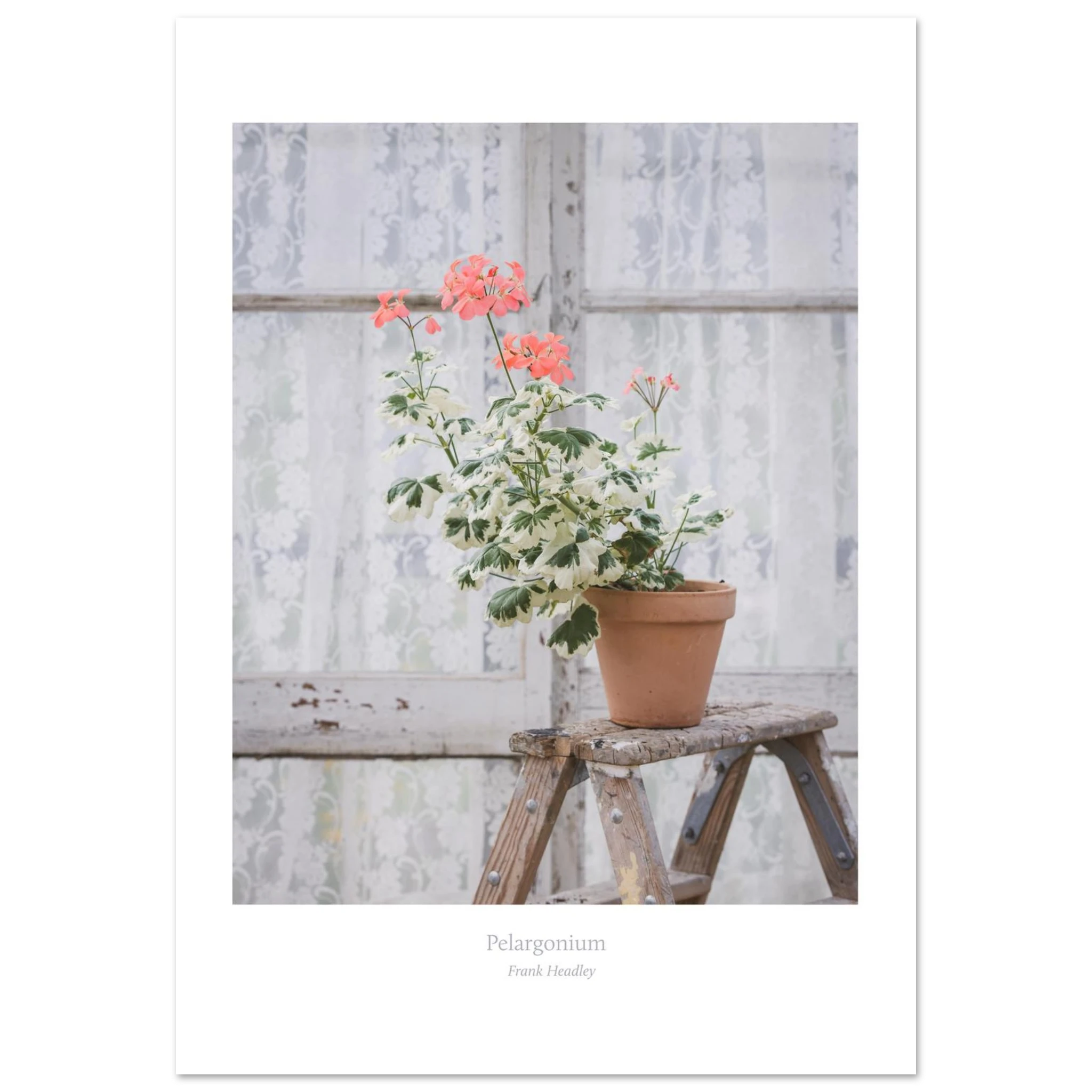 1d717e6c-0755-48d4-8755-7683c058aaf0