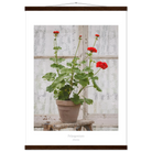 200d4432-dcb0-4c33-96db-f4bd5b374b49