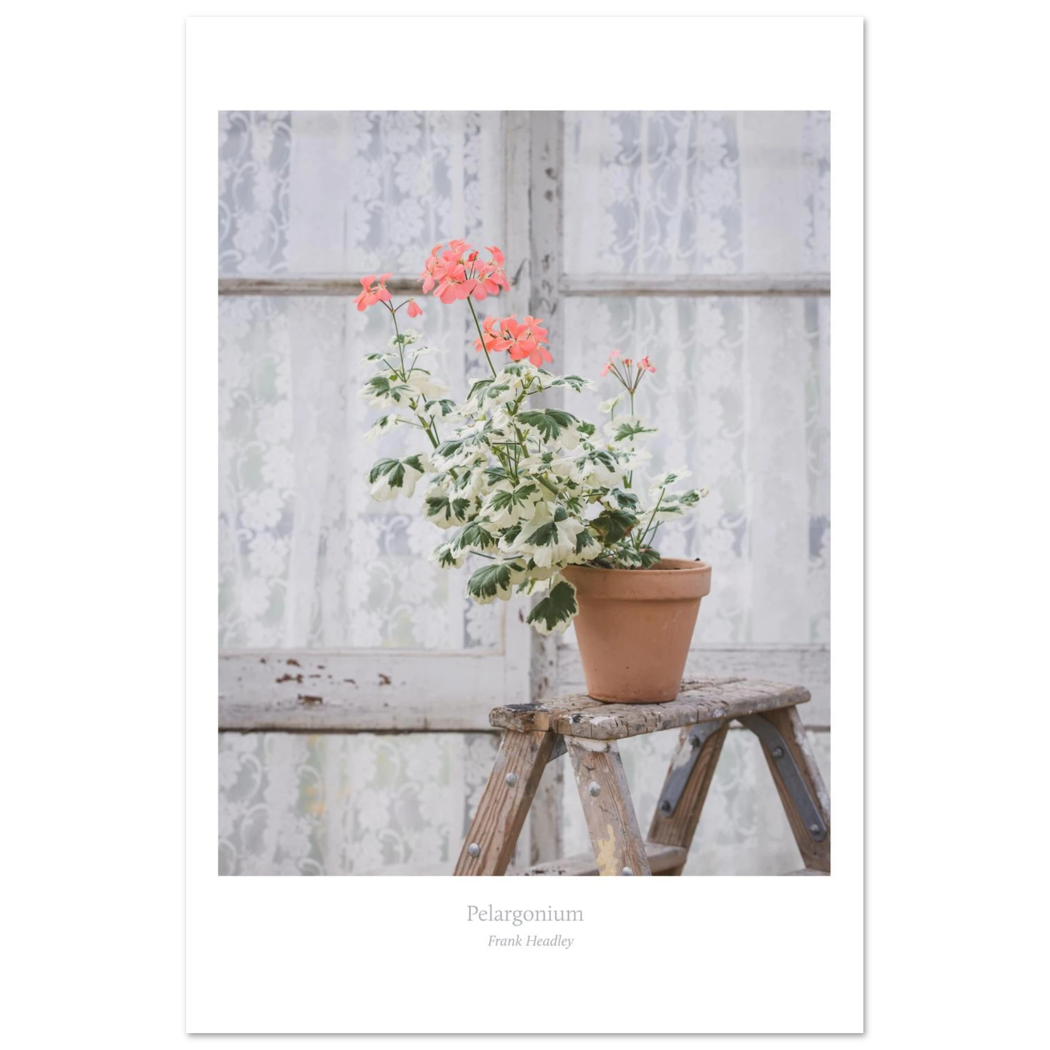 25dcfa58-7d9b-4da9-9b13-f0633231e1b1