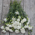 33258_Hagenellik_Chabaud_Jeanne_Dionis_1