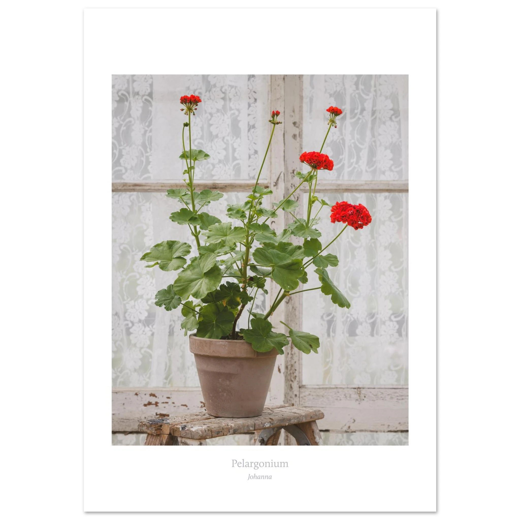 4800ebe4-0105-49c2-85d9-2869746d2350