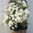 96894_Hagenellik_Chabaud_Jeanne_Dionis_1