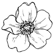 Blomsterhagen på Abildsø logo