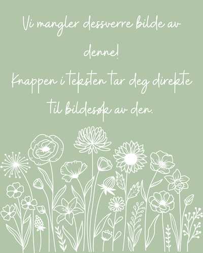 Erteblomst Cupid Lavender