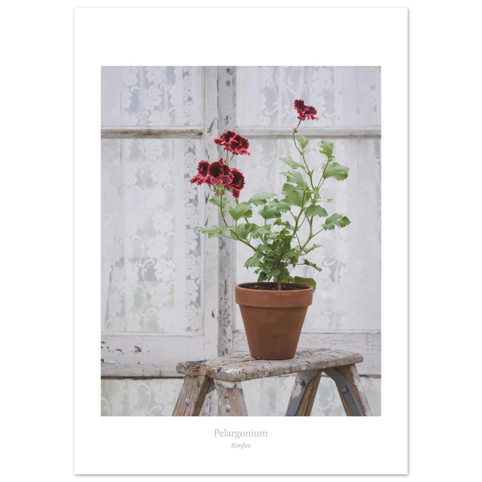 ba7f909d-04fb-4589-932f-a0056288c9a6