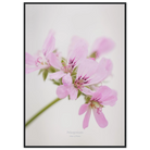 c5016662-1798-42b0-aeae-9be5f987de03
