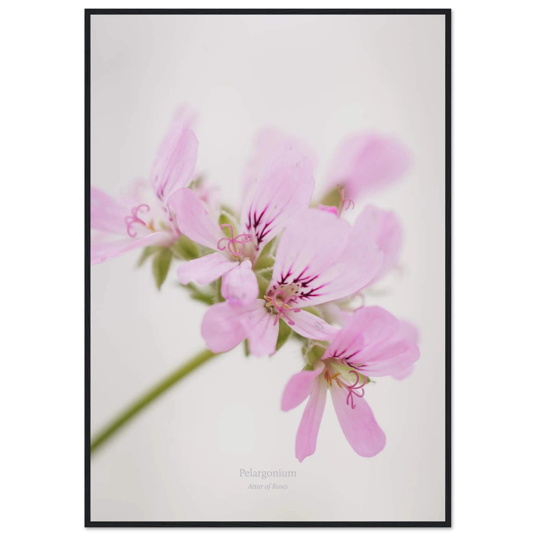 c5016662-1798-42b0-aeae-9be5f987de03