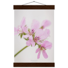 c8814f7b-a612-4acd-bb61-0314081e0e26