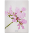 caad4535-45e5-4c1d-b067-6245c07bdd6f
