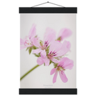 f59ef495-605f-4787-9021-5460247bbfe7