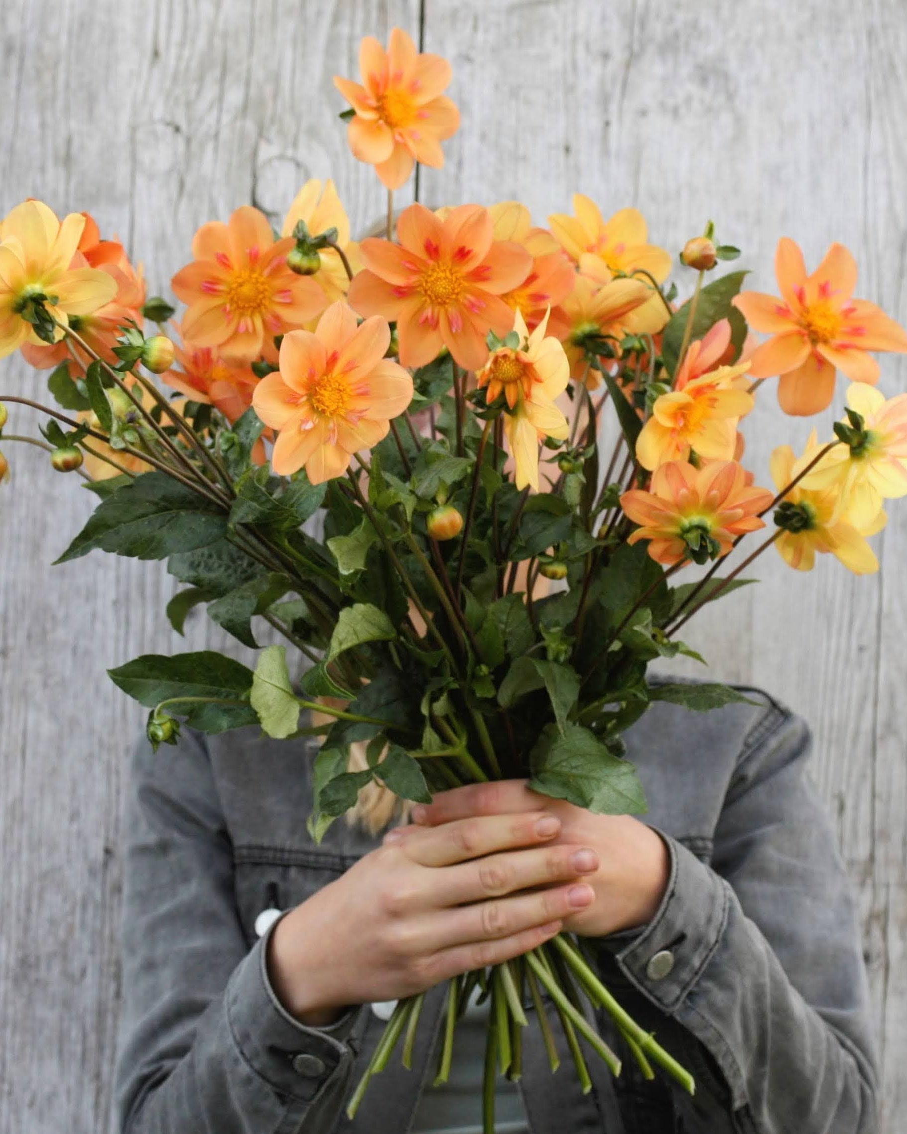 Nærbilde av Georgine Kelsey Annie Joy collarette med gylne nyanser