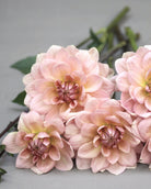 Nærbilde av Georgine Joels Favorite med varm pastellfarget blomst