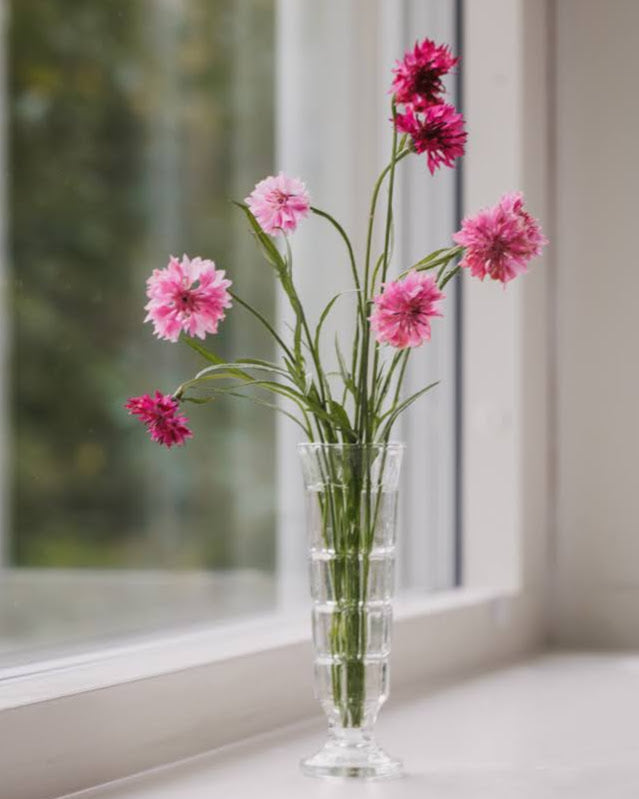 Kornblomst Bærmiks - blanding av kornblomster i bærtoner"