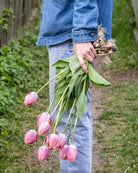 Tulipan Salmon van Eijk – blomst i naturlig lys som fremhever den varme fargepaletten