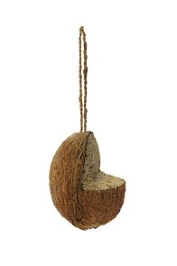 Kokosnøtt med innhakk